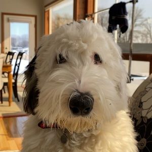 Meet your Posher, Alaina